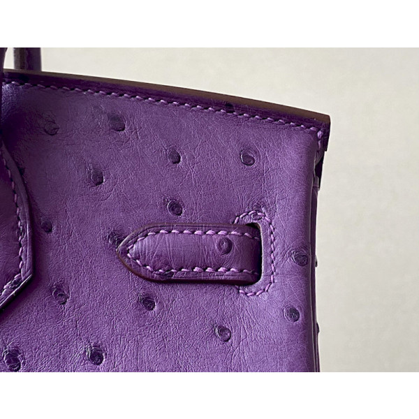 Hermes Birkin 25 Ostrich Anemone(P9) Gold Hardware Dark Purple
