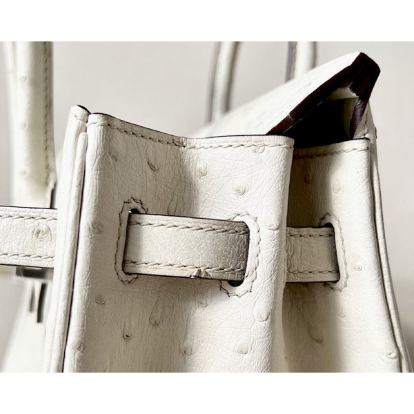 Hermes Birkin 25 Ostrich Parchemin(3C) Palladium Hardware White