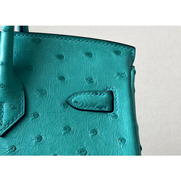 Hermes Birkin 25 Ostrich Vert Jade(O6)Gold Hardware Mint Green