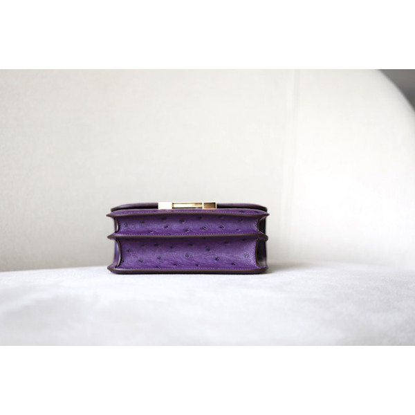 Hermes Constance 19 Ostrich Vert Vertigo (U4) Palladium Hardware Dark Purple