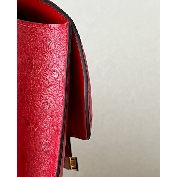 Hermes Constance 19 Matte Alligator Mimosa (M9) Palladium Hardware Red