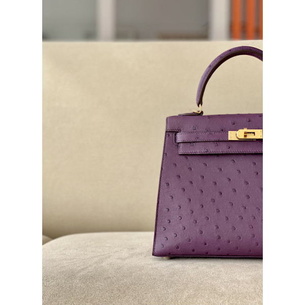 Hermes Kelly 25 Epsom Sesame (2S) Palladium Hardware Purple