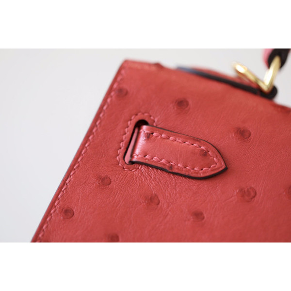 Hermes Kelly 25 Epsom Etain (8F) Palladium Hardware Red