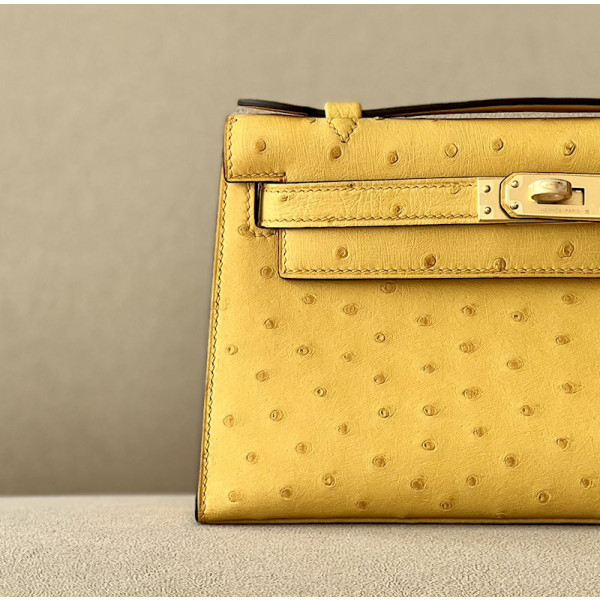 Hermes Kelly Pochette Epsom Nior (89) Palladium Hardware Yellow