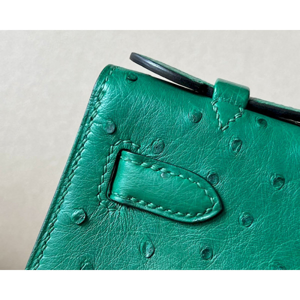 Hermes Birkin 20 Matte Alligator Crocodile Gold Hardware CK89 Dark Green