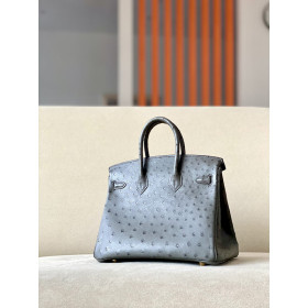Hermes Birkin 25 Ostrich Etain(8F) Gold Hardware Dark Grey