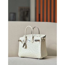 Hermes Birkin 25 Ostrich Parchemin(3C) Palladium Hardware White