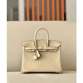 Hermes Birkin 25 Ostrich Trench(S2)Gold Hardware Dark Beige
