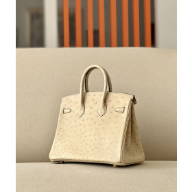 Hermes Birkin 25 Ostrich Trench(S2)Gold Hardware Dark Beige