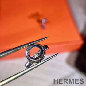 Hermes Echappee Earrings With Crystal Silver