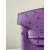 Hermes Birkin 25 Ostrich Anemone(P9) Gold Hardware Dark Purple