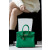 Hermes Birkin 25 Swift Menthe 6W Palladium Hardware Green