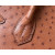 Hermes Birkin 30 Ostrich Gold(37) Gold Hardware Brown