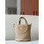 Hermes 24/24 Mini 21 Evercolor And Swift Gris Perle (80) Gold Hardware Dark Beige