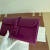 Hermes Kelly Mini Ostrich Lime (9R) Palladium Hardware Dark Purple