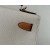 Hermes Kelly 25 Togo Gris Asphalte (M8) Palladium Hardware Beige