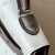 Hermes Kelly Mini HSS Epsom Chai(0M), Lime(9R) And Mauve Sylvestre(X9) Palladium Hardware White